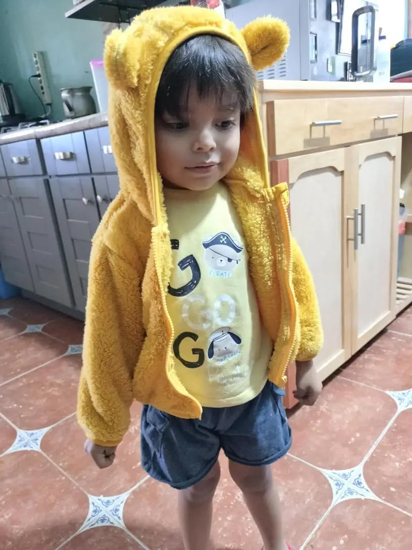 AIWUHE Toddler Boys Girls Hooded Jacket Fleece Hoodie Winter Warm Solid Color Teddy Coat Zip-up Bear Ear Sweater Fall Clothes