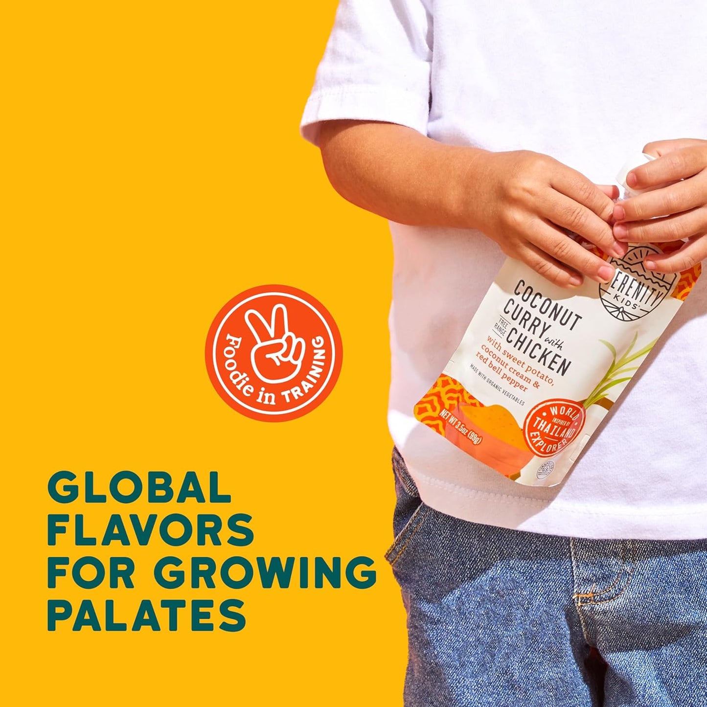 Serenity Kids 6+ Months World Explorers Coconut Curry Chicken Baby Food Pouch - BPA-Free Pouches - Ethically Sourced Meats & Organic Veggies - GMO-Free Savory Blend - 3.5 Oz, 12 Pack